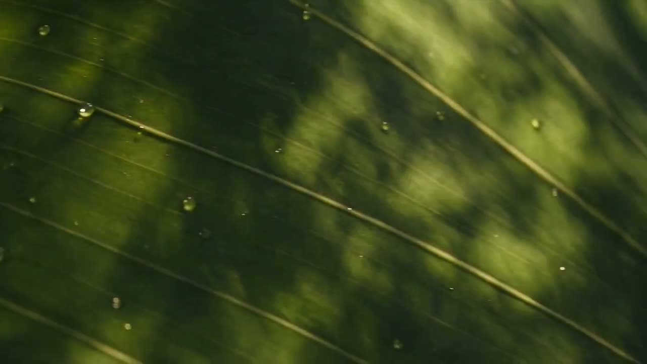 Generate Native 1080p, Up to 30 Seconds