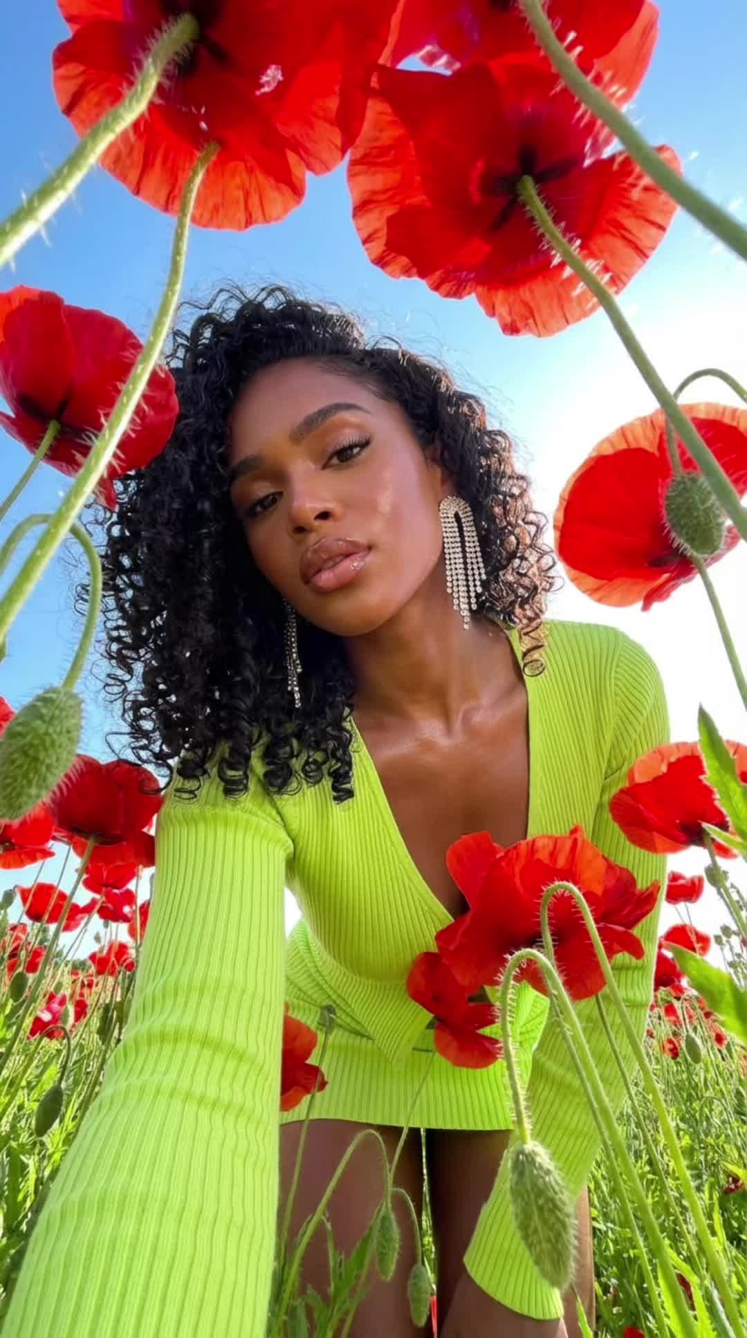 Lime Poppy Lean
