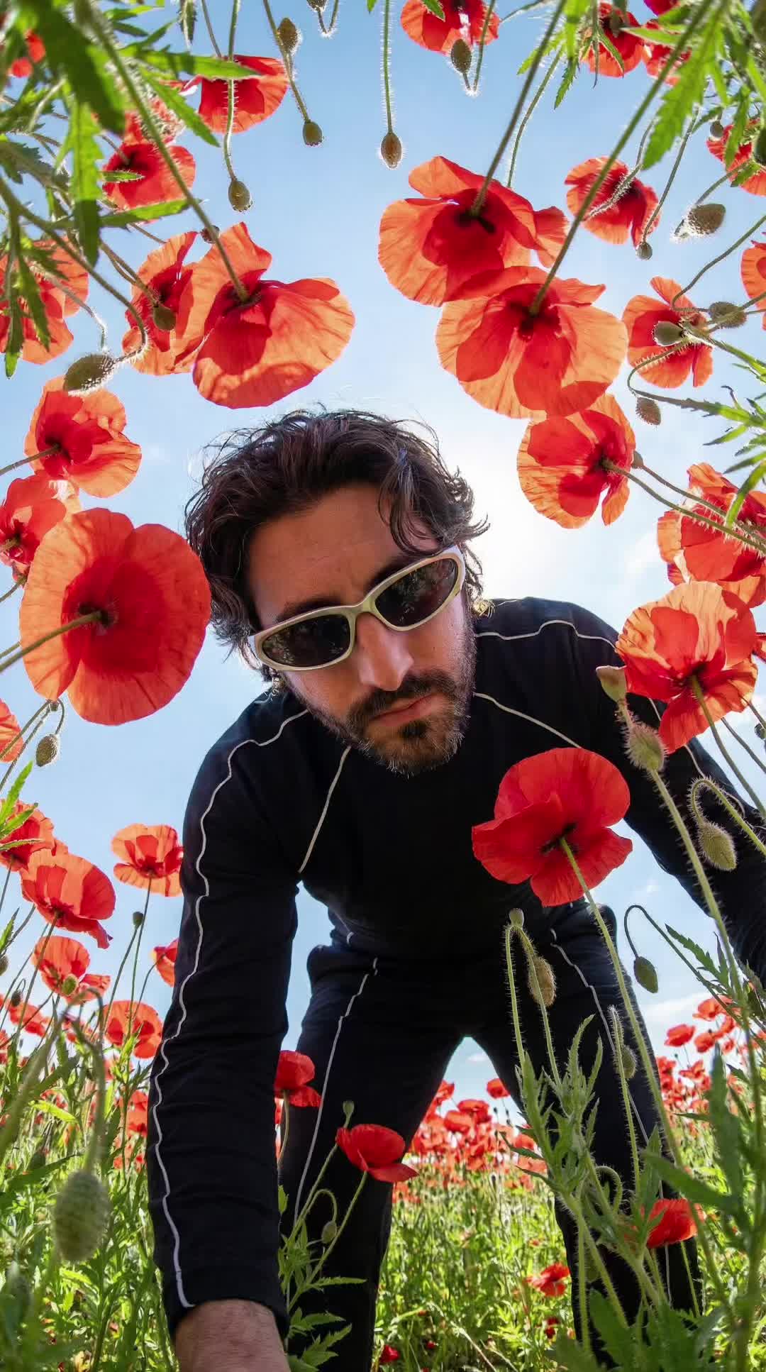 Poppy Sky Lean