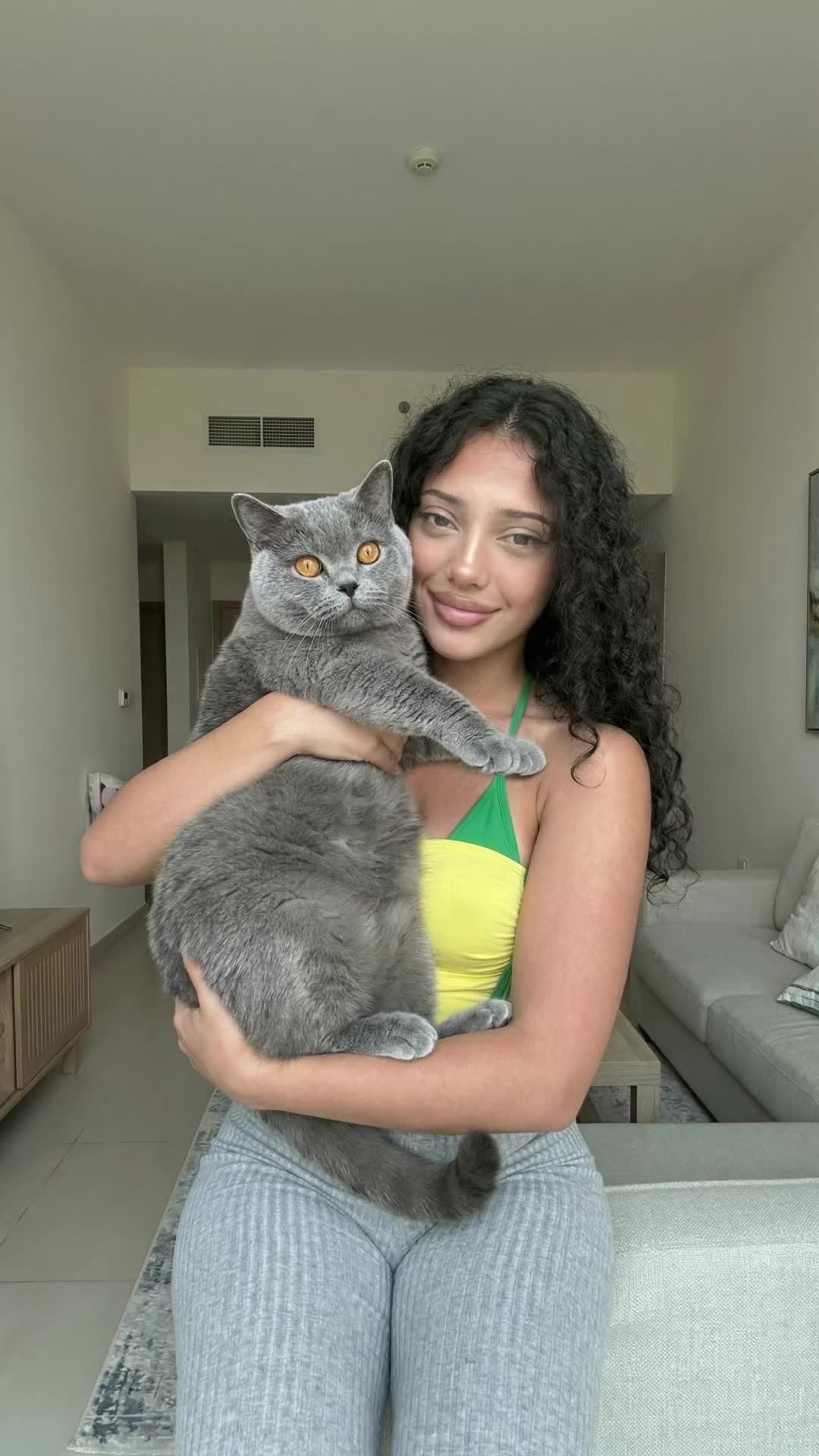 Yellow Halter Cat