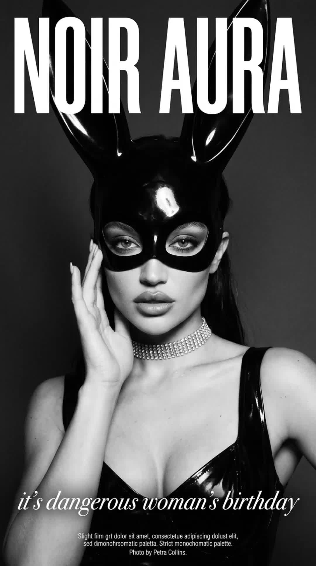 Noir Bunny Cover