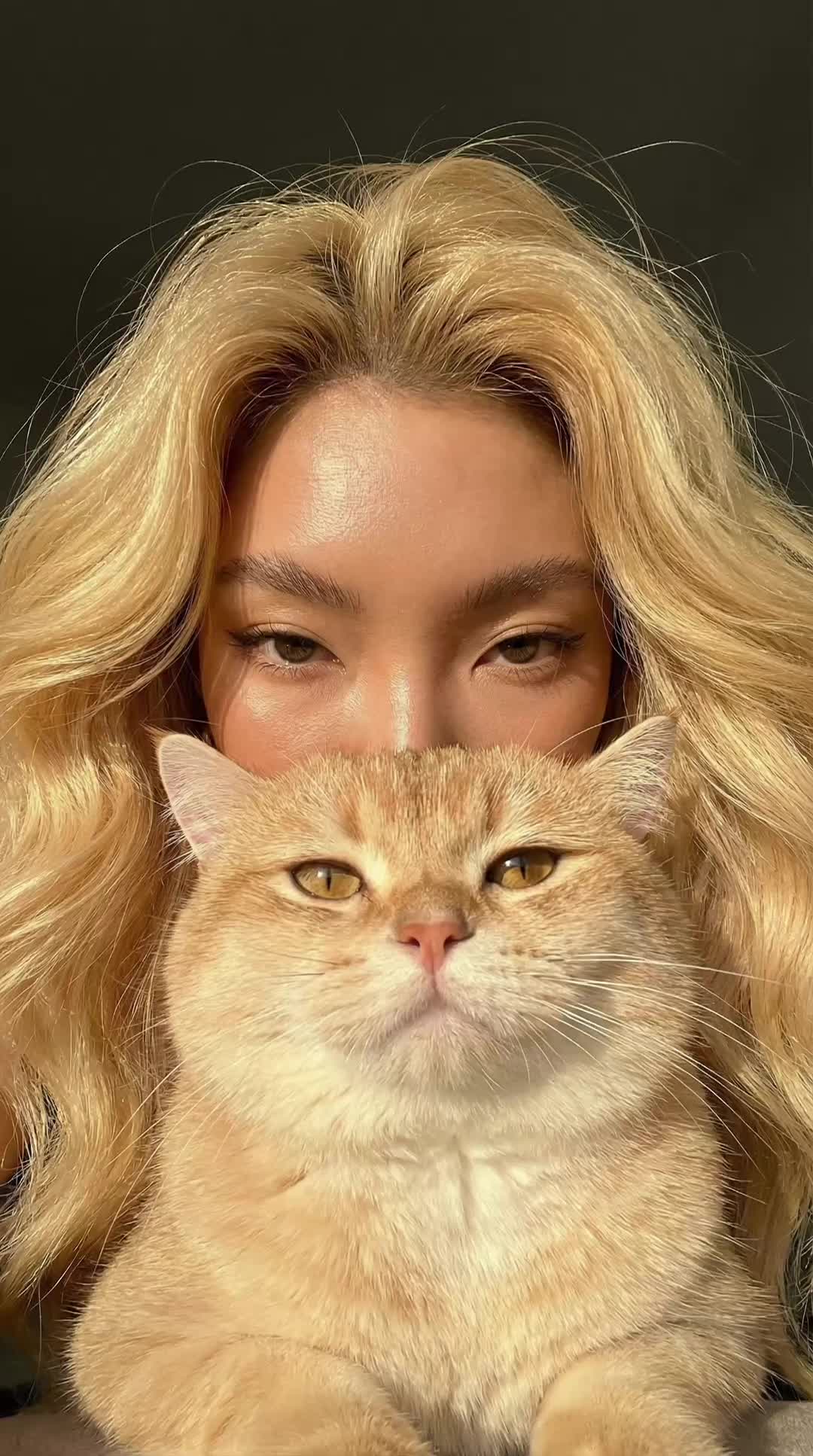 Cat Peek Close-up