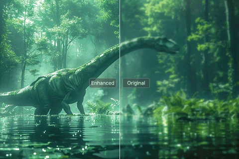 Enhance Color & Detail