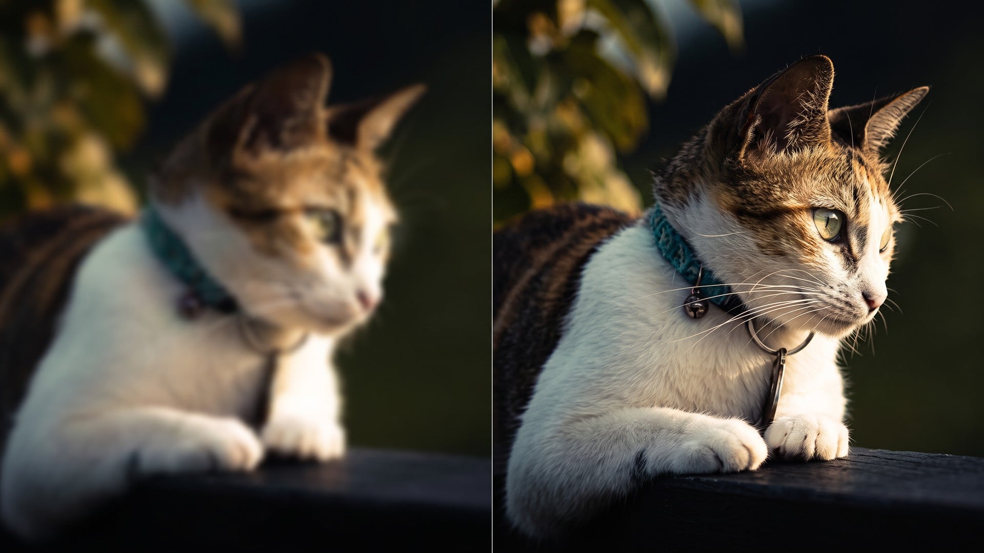 Unblur Images